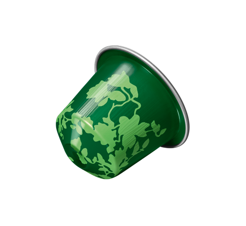 Kapsułki Nespresso Forest Black (10 kapsułek)